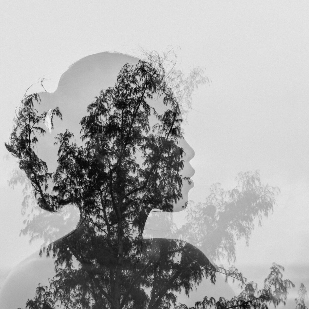 Ecological Paradigms in eLearning